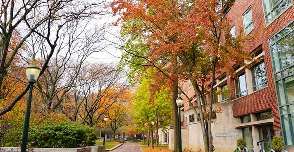 a college campus