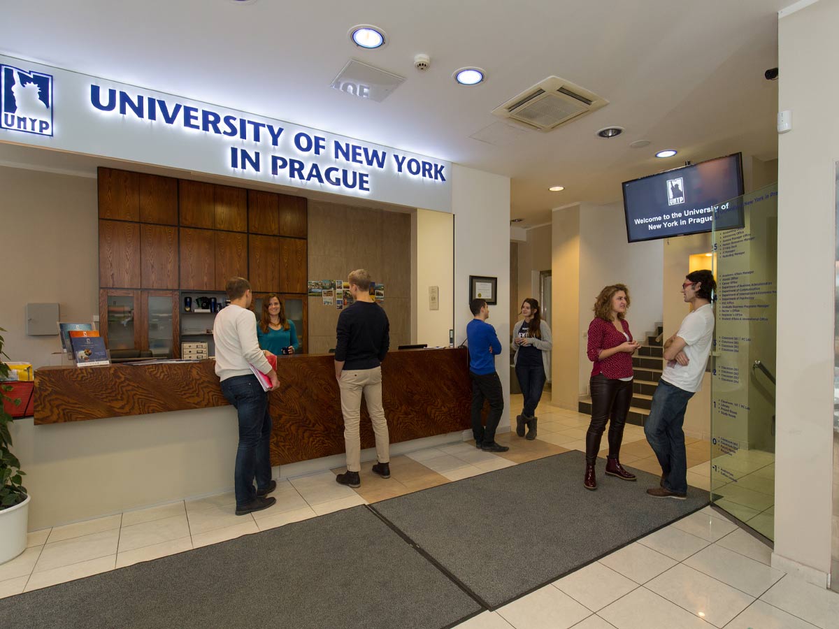 New York University