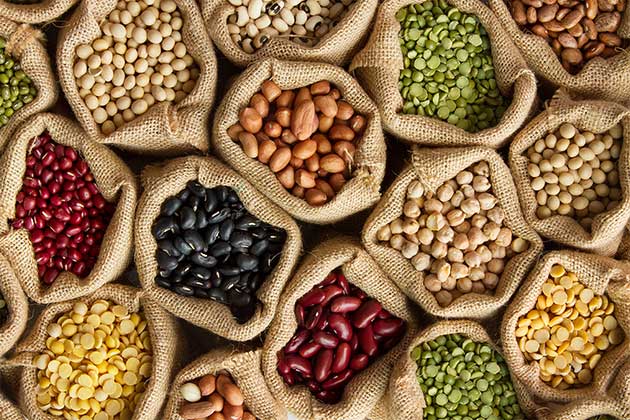 Dried Beans and Lentils