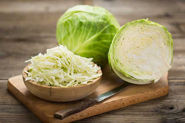 Cabbage
