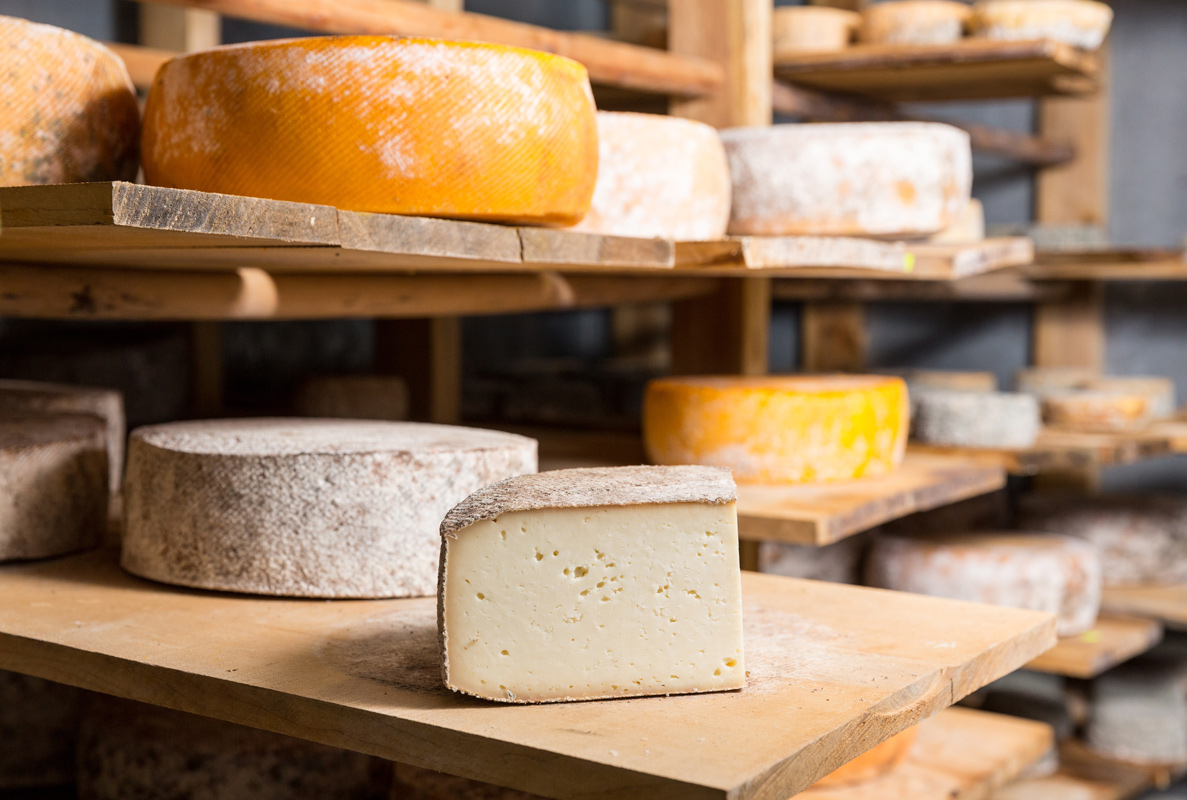 Cheese