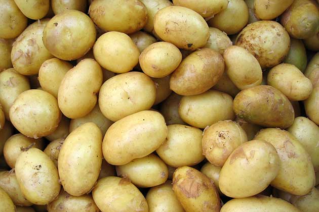 Ireland & Potatoes