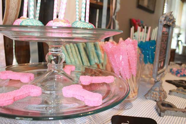 Bachelorette or Gender Reveal?