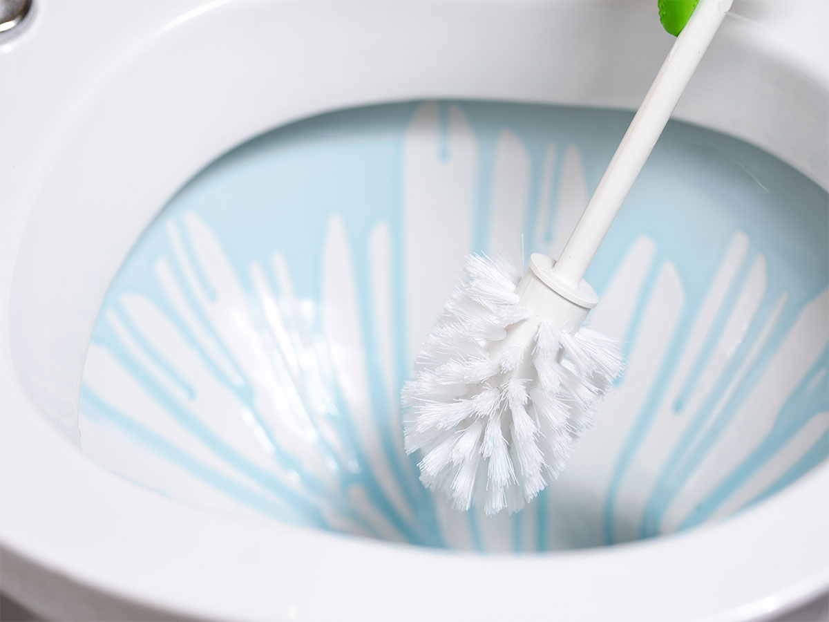 Toilet Bowl Cleaner