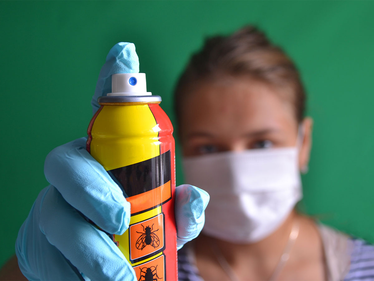 Insecticide
