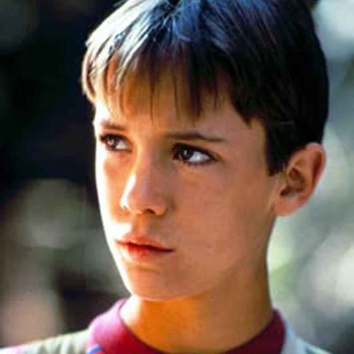Wil Wheaton