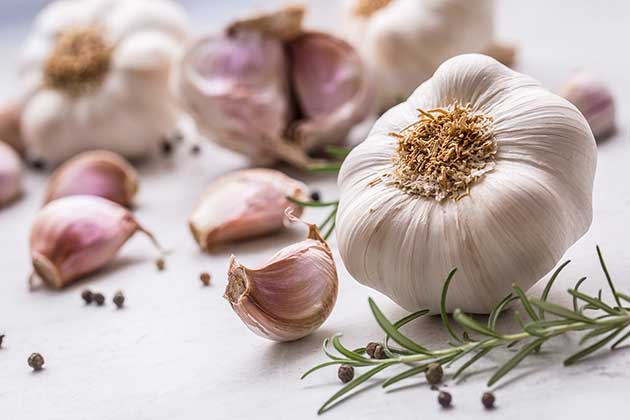 Garlic