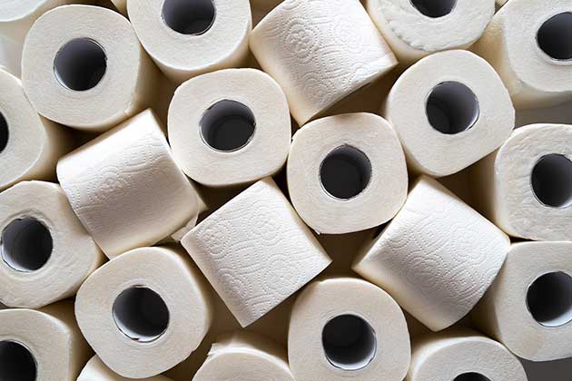 Pre-Toilet Paper Times