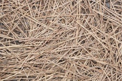 Straw Floors