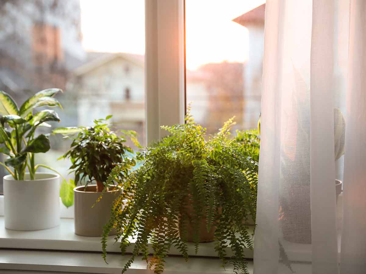 Brighten Up Your Space