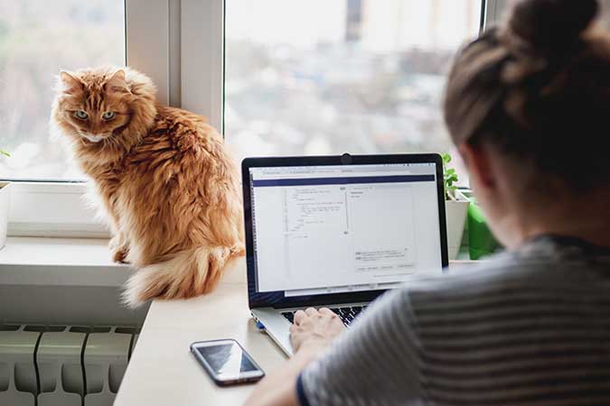 Set Up Your Work Space