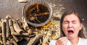 home remedies for a cold sore