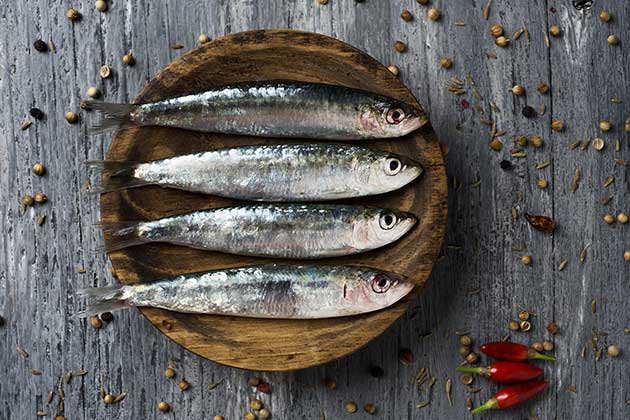 Sardines