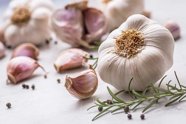 Garlic