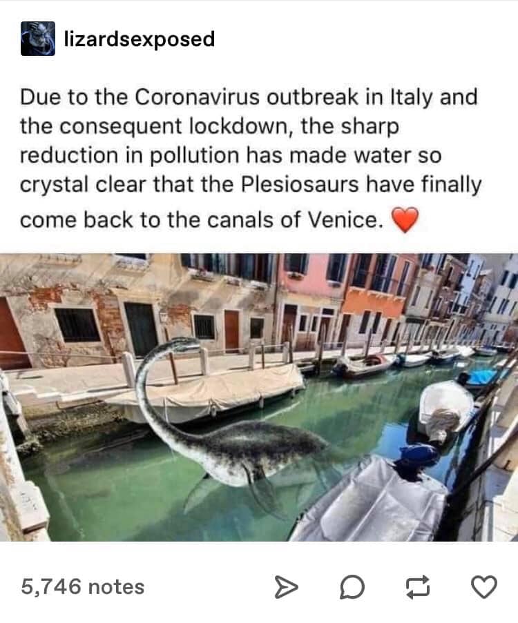 The Canals of Venice Have Cleared Up