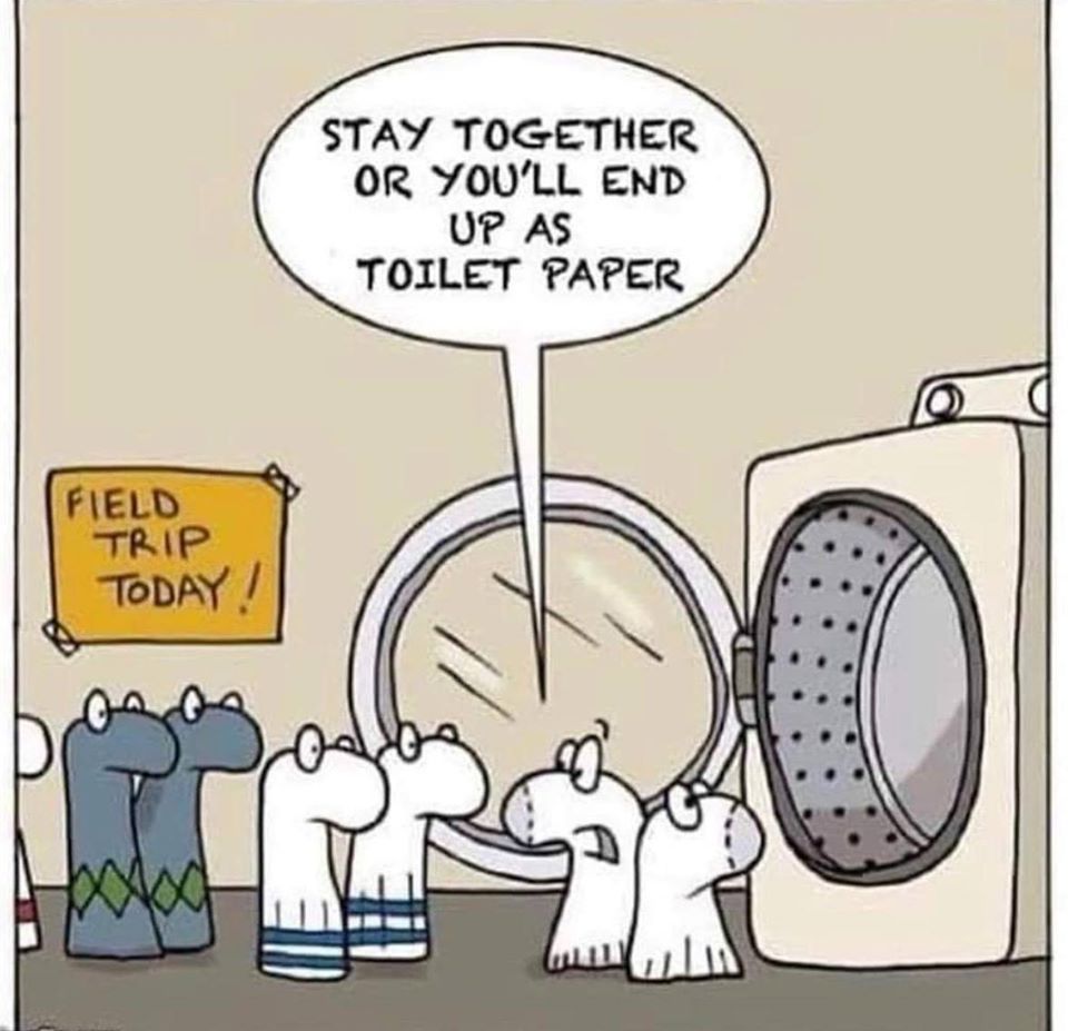 Alternative Toilet Paper Solutions