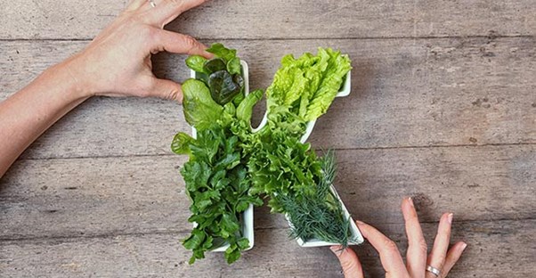 Leafy Green Vegetable K