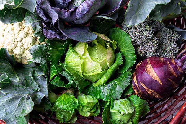 Cabbage