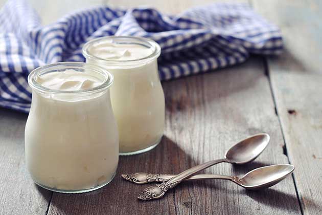 Fermented Dairy Products