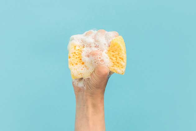 Sponges