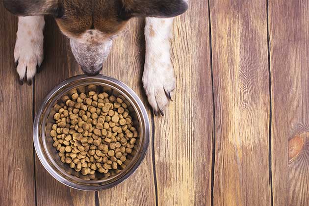 Pet Bowls