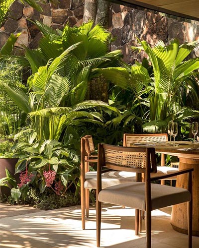 Plants and Greenery