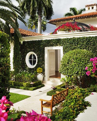 Tall Privacy Hedges
