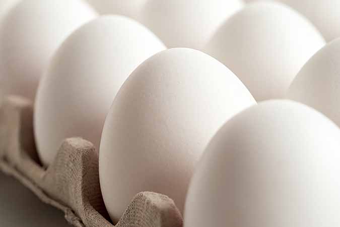 Eggs