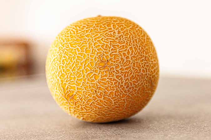 Melons