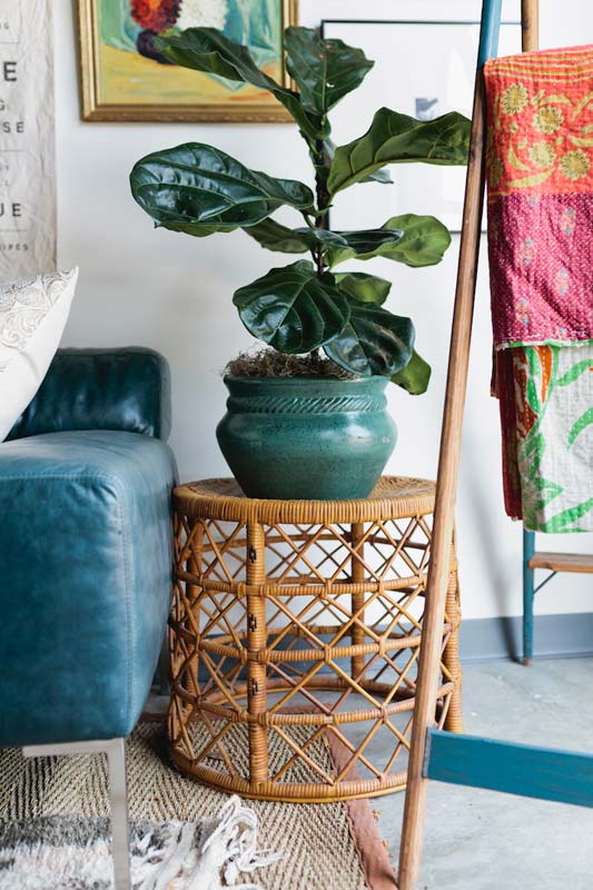 Decorate With Plants and Greenery