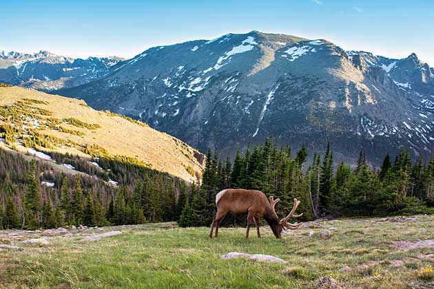 7. Rocky Mountain National Park