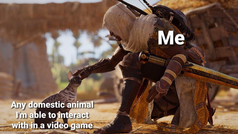 I'll Always Stop for a Pet