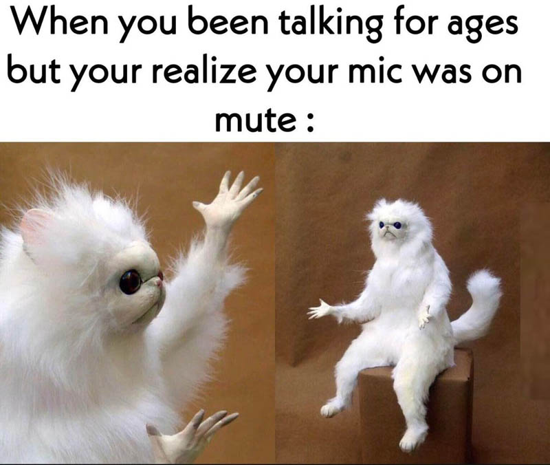 Hello?! Can Anyone Hear Me?