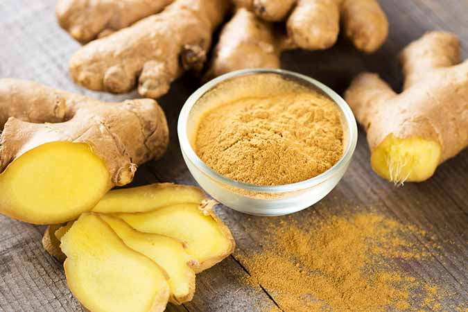 Ginger