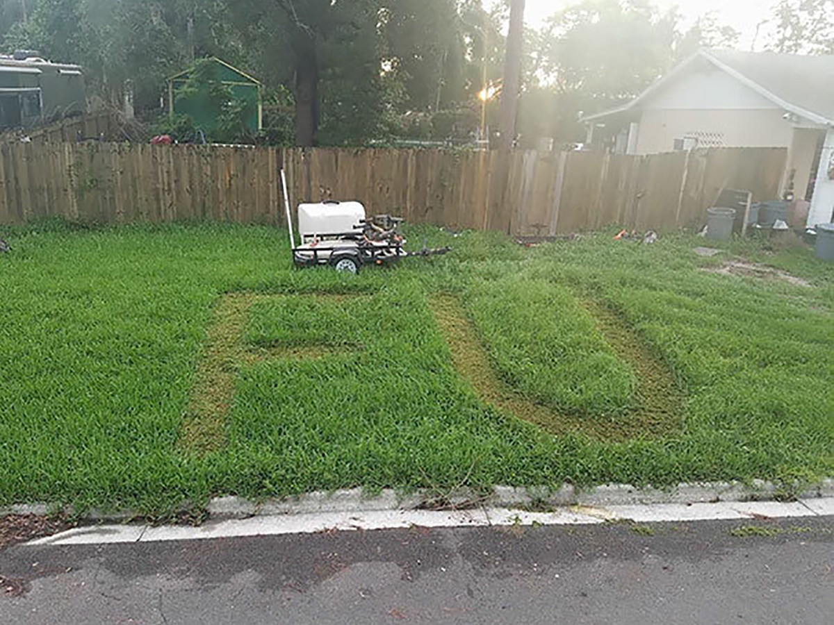 The Grass is Always Greener