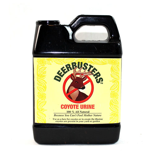 Animal Urine