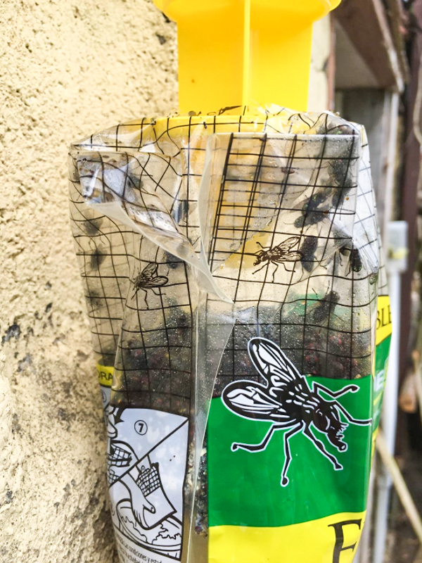 Fly Bag