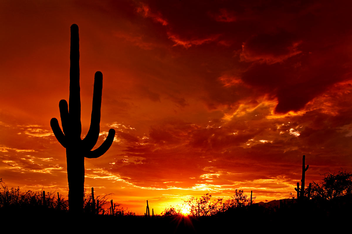 Tucson, Arizona