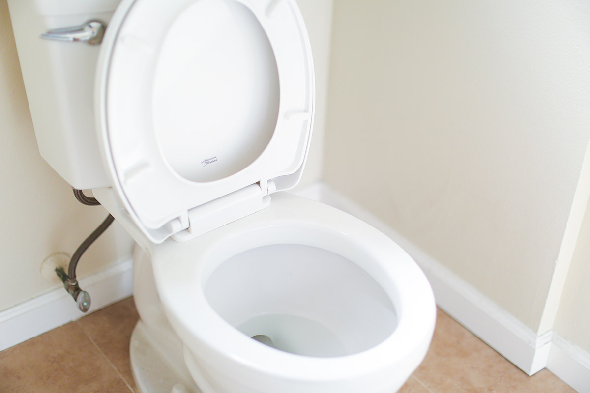 The Toilet Cleaning “Hack”