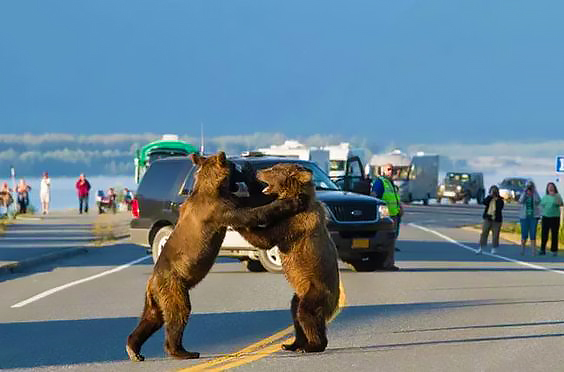 Alaska