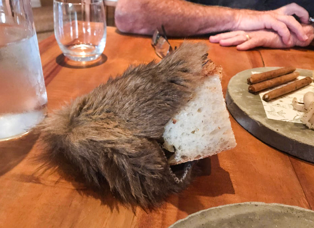 Complimentary Roadkill