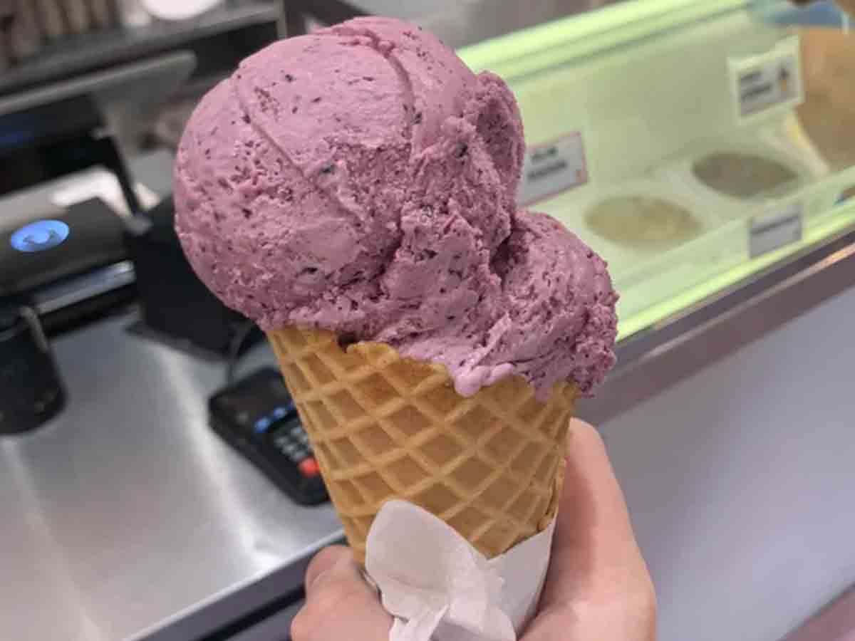 Idaho: Huckleberry Ice Cream