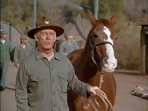 It's a Horse, Of Course