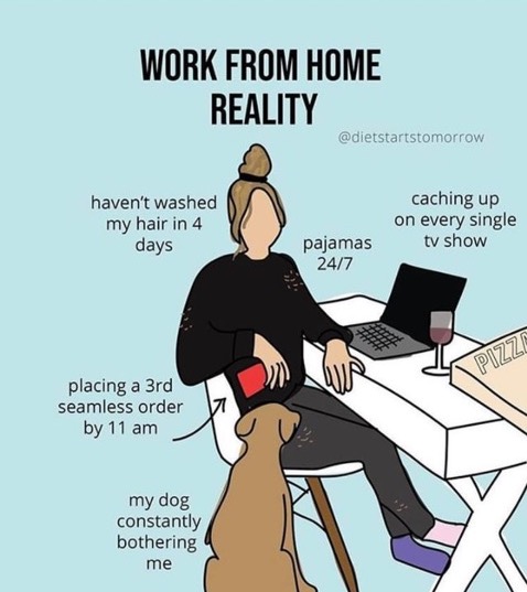 Versus What Working From Home is Actually Like