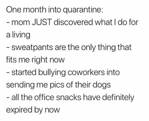 Quarantine Life