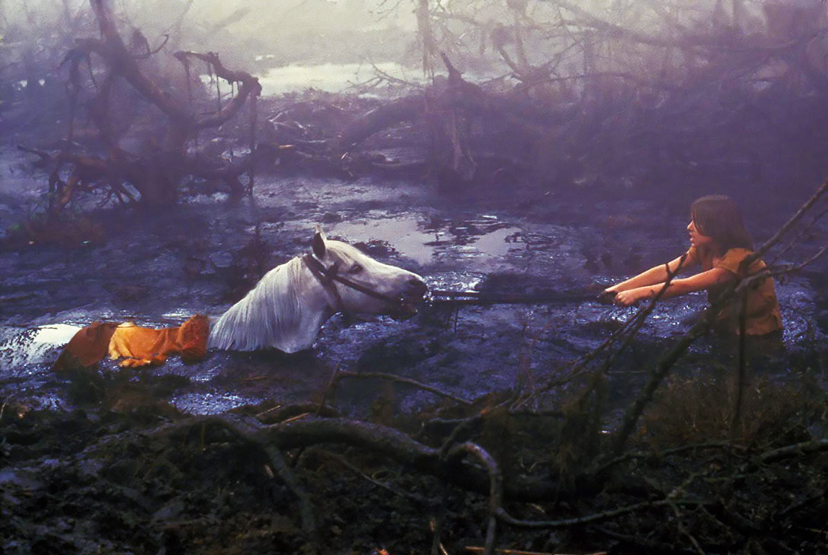 The NeverEnding Story