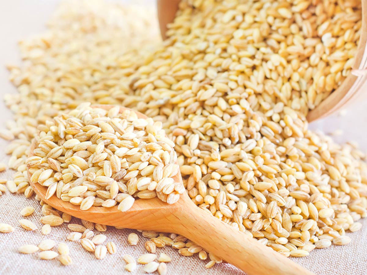 Wheat Berries