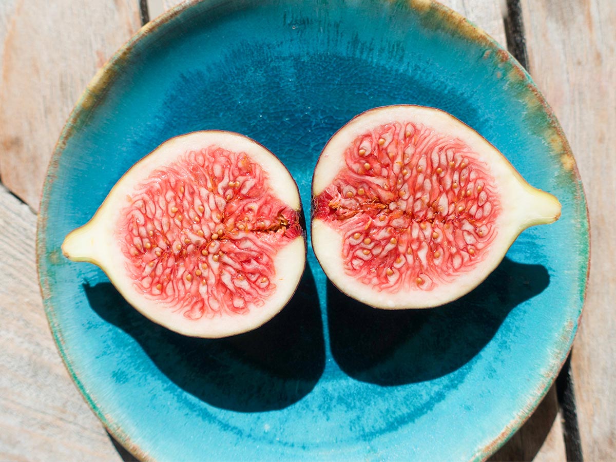 Figs