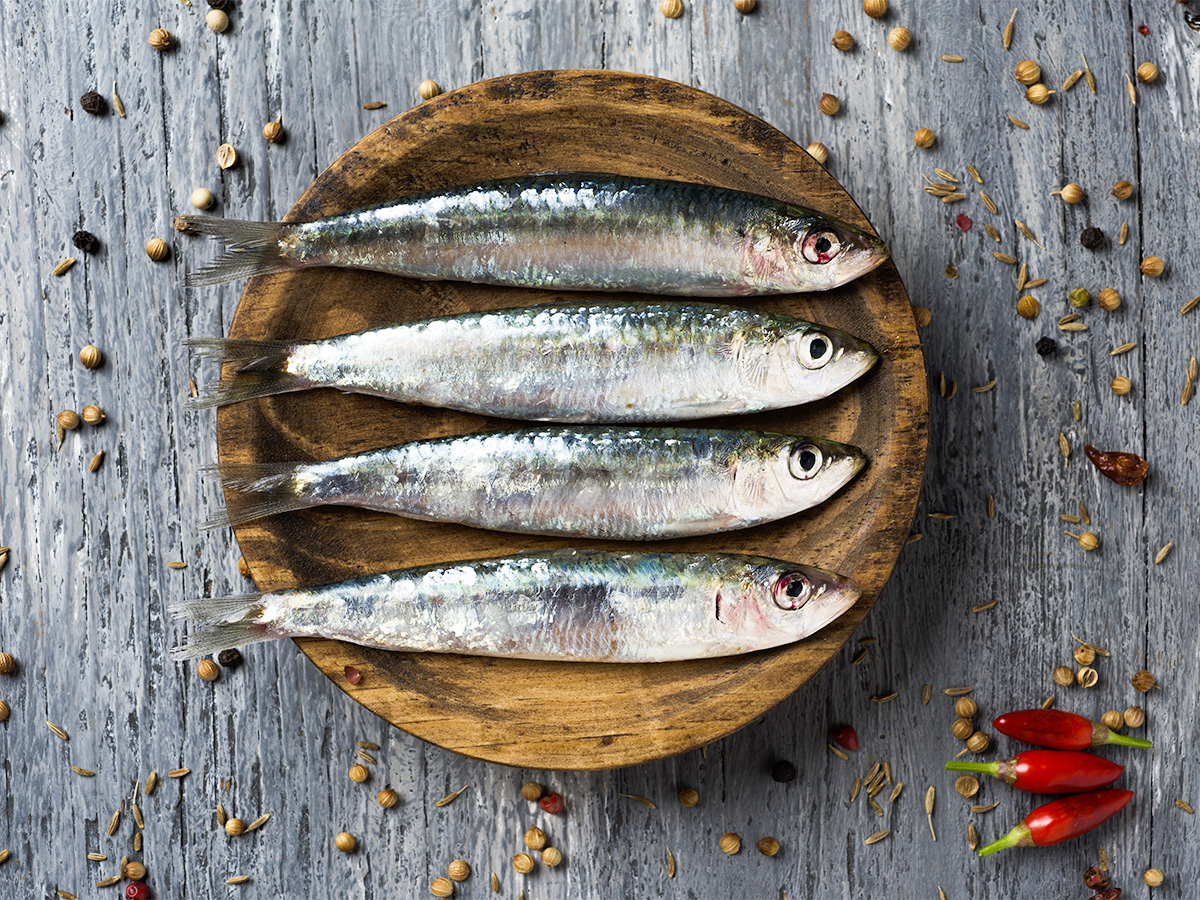 Sardines