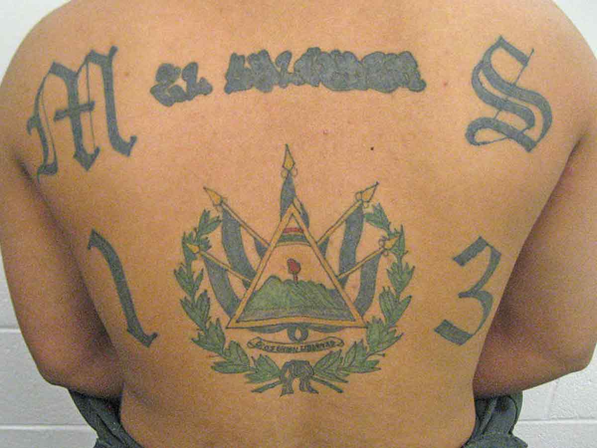 MS-13